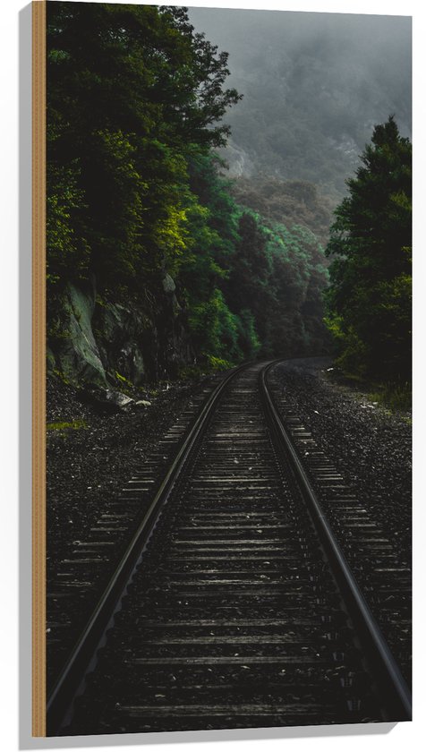 WallClassics - Bois - Voie ferrée entre Forêts vertes - 50x100 cm - 12 mm d'épaisseur - Photo sur bois (avec système d'accrochage)