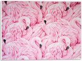WallClassics - PVC Schuimplaat - Getekende Roze Flamingos - 40x30 cm Foto op PVC Schuimplaat (Met Ophangsysteem)