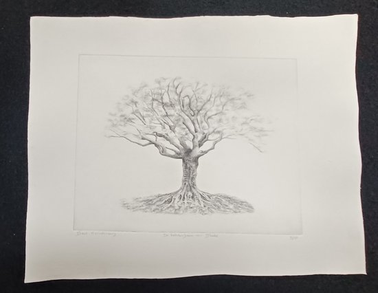 Grafiek (Ets) Bart Reindersma - De Heksenboom van Bladel 29 x 23 cm