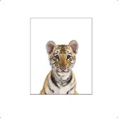 PosterDump - Baby jungle / safari tijger dieren - Baby / kinderkamer poster - Dieren poster - 70x50cm