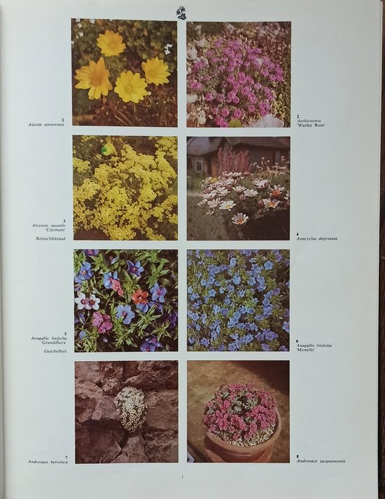 2000 Tuin/Kas en Kamerplanten in Kleur