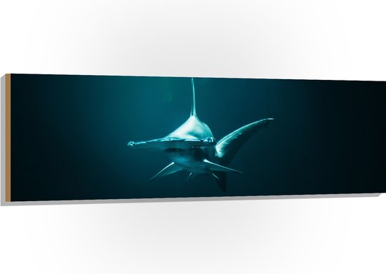 WallClassics - Hout - Hamerhaai in het Water - 150x50 cm - 12 mm dik - Foto op Hout (Met Ophangsysteem)