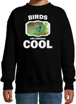 Dieren vogels sweater zwart kinderen - birds are serious cool trui jongens/ meisjes - cadeau kolibrie vogel/ vogels liefhebber - kinderkleding / kleding 134/146