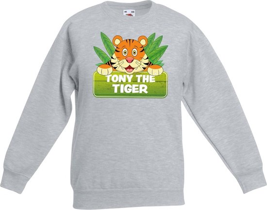 Tony the tiger sweater grijs voor kinderen - unisex - tijger trui - kinderkleding / kleding 170/176
