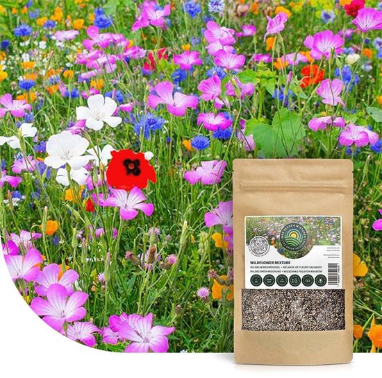 Wildbloemenmengsel - Eén- & meerjarige bloemzaden – Wilde bloemen - 45 bloemsoorten – 5 kg - Voor 2.500 m² – Aantrekkelijk voor vlinders en bijen