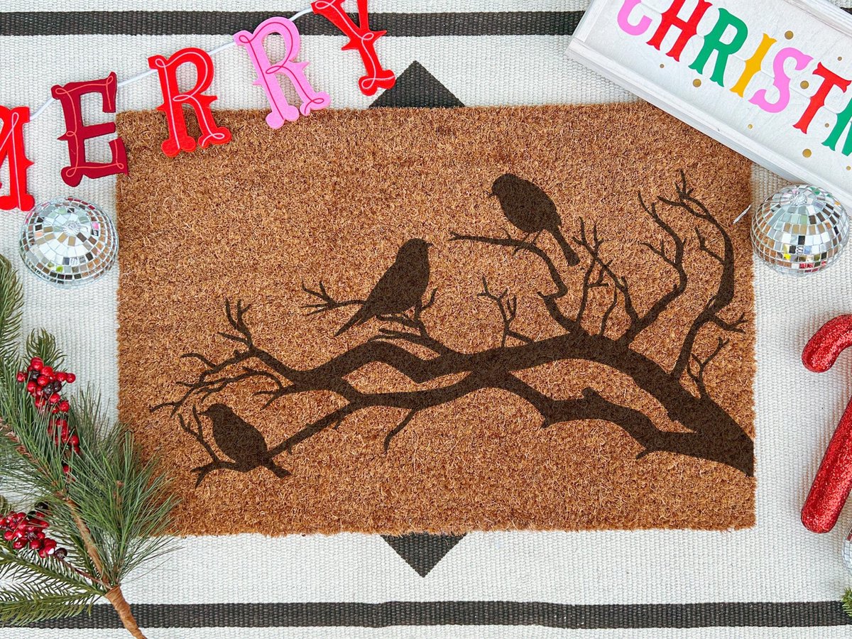 Winter Birds | 60x40 cm | Nieuwe huis cadeau | Ingangsmat | Deurmat met stijl | Verhuizing cadeau | Praktisch & trendy | Perfect voor binnenkomst | Cadeau voor nieuwe woning