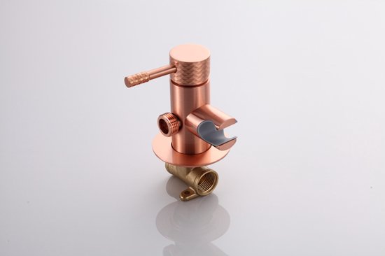WEBO Bidetset met handdouche - Warm/koud - RVS - Hygiënisch