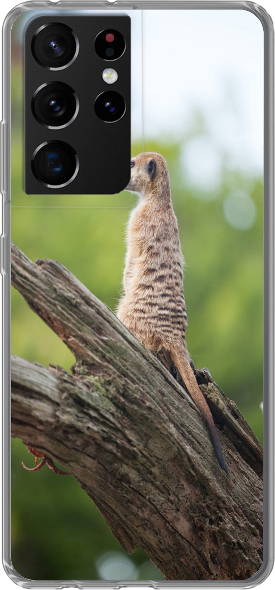 Telefoonhoesje Geschikt voor Samsung Galaxy S21 Ultra hoesje - Stokstaartje - Tak - Boom - Siliconen Telefoonhoesje Telefoonhoesje