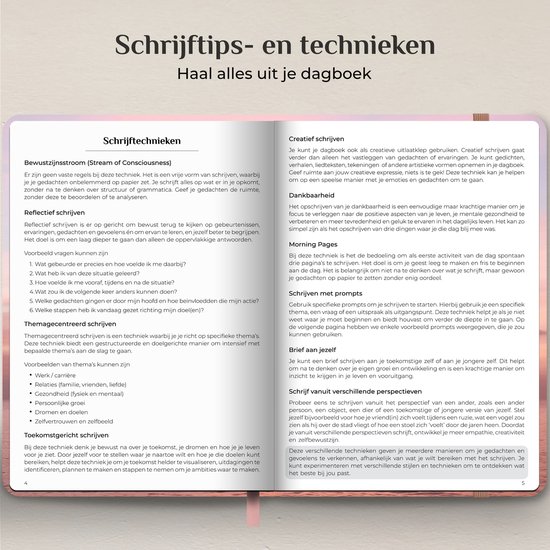 Systemyze Dagboek Volwassenen – Journal – A5 – Pink Sky