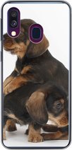 Coque Samsung Galaxy A40 - Studio photo de deux adorables teckels - Siliconen - Sinterklaas - Noël - Cadeaux - Cadeaux chaussures