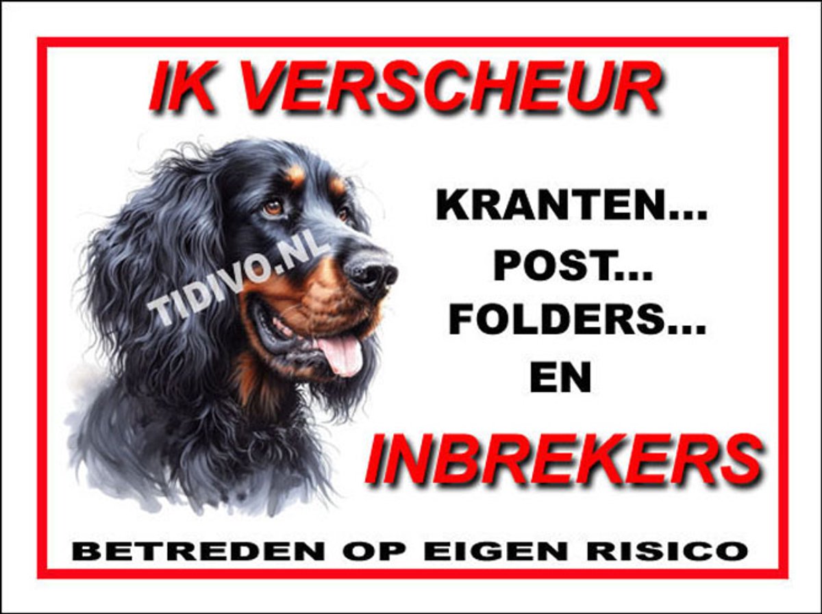 Gordon Setter 8