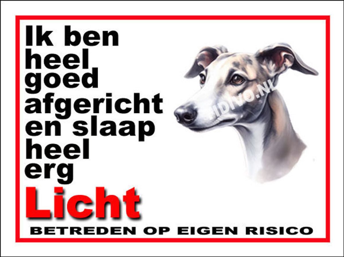 Greyhound 4