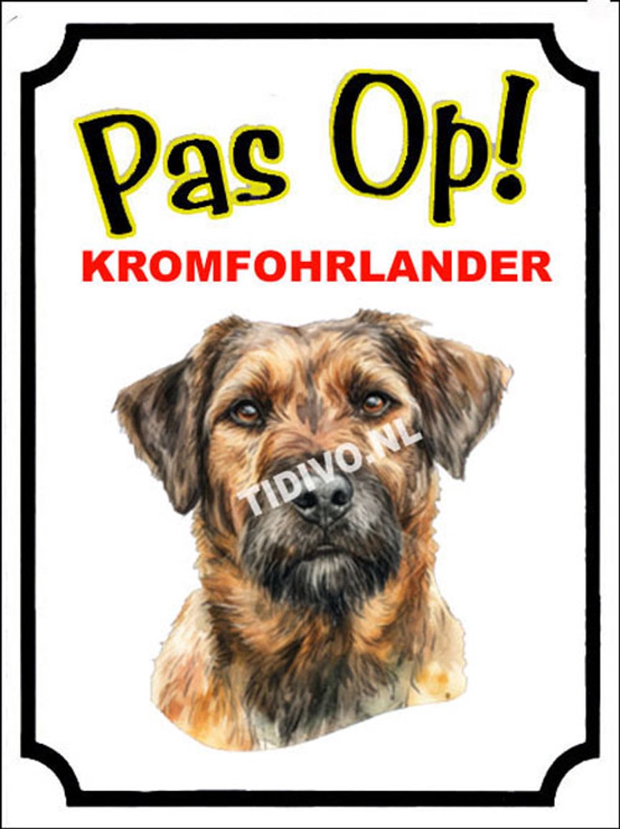 Kromfohrländer 16