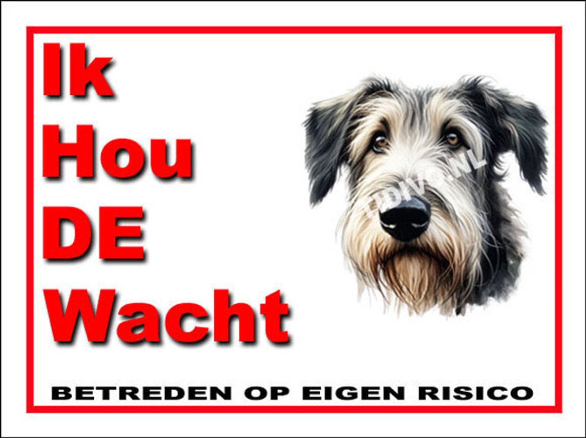 Ierse Wolfshond 7