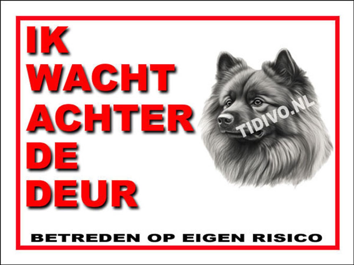 Keeshond 10