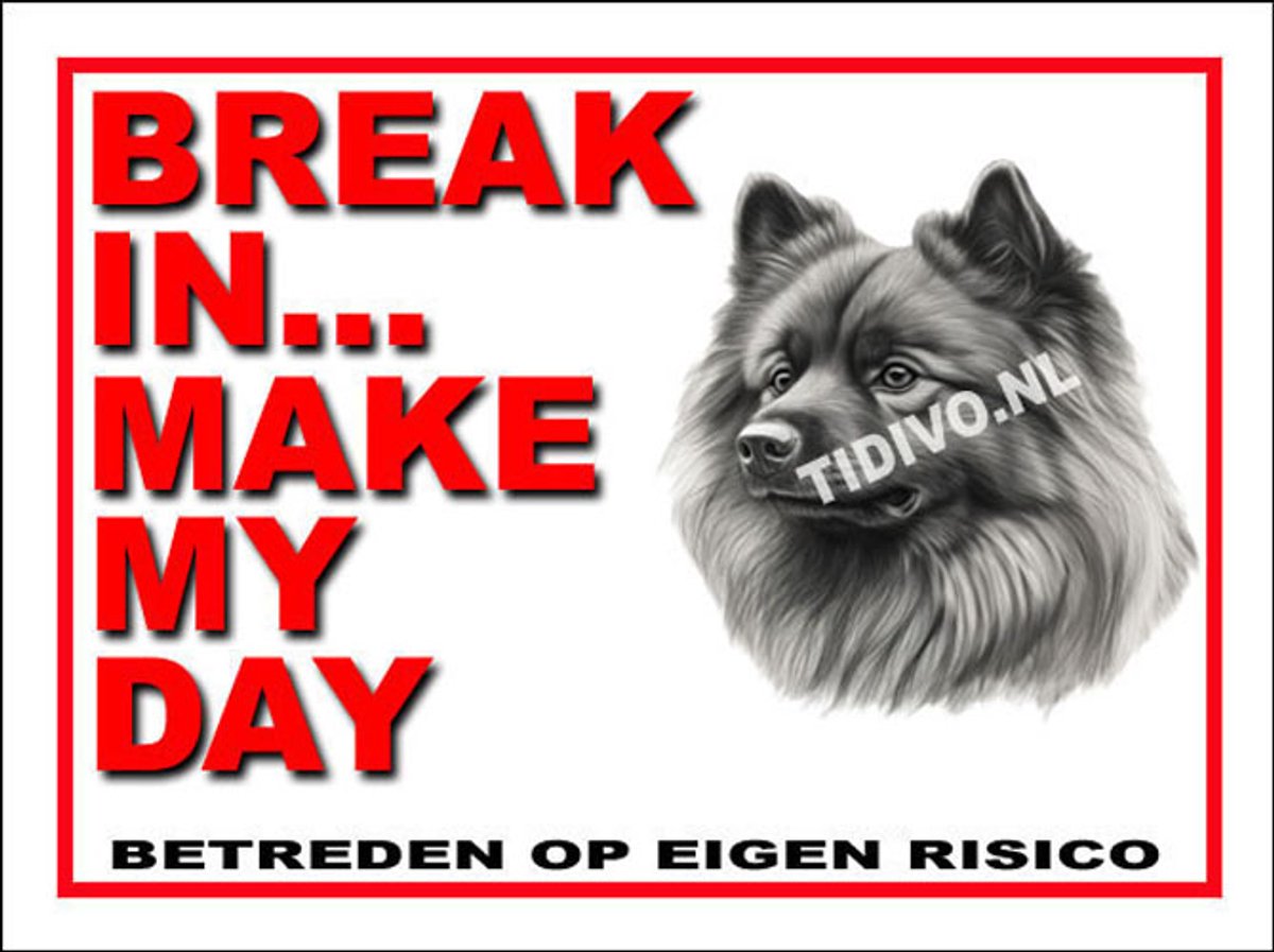 Keeshond 1