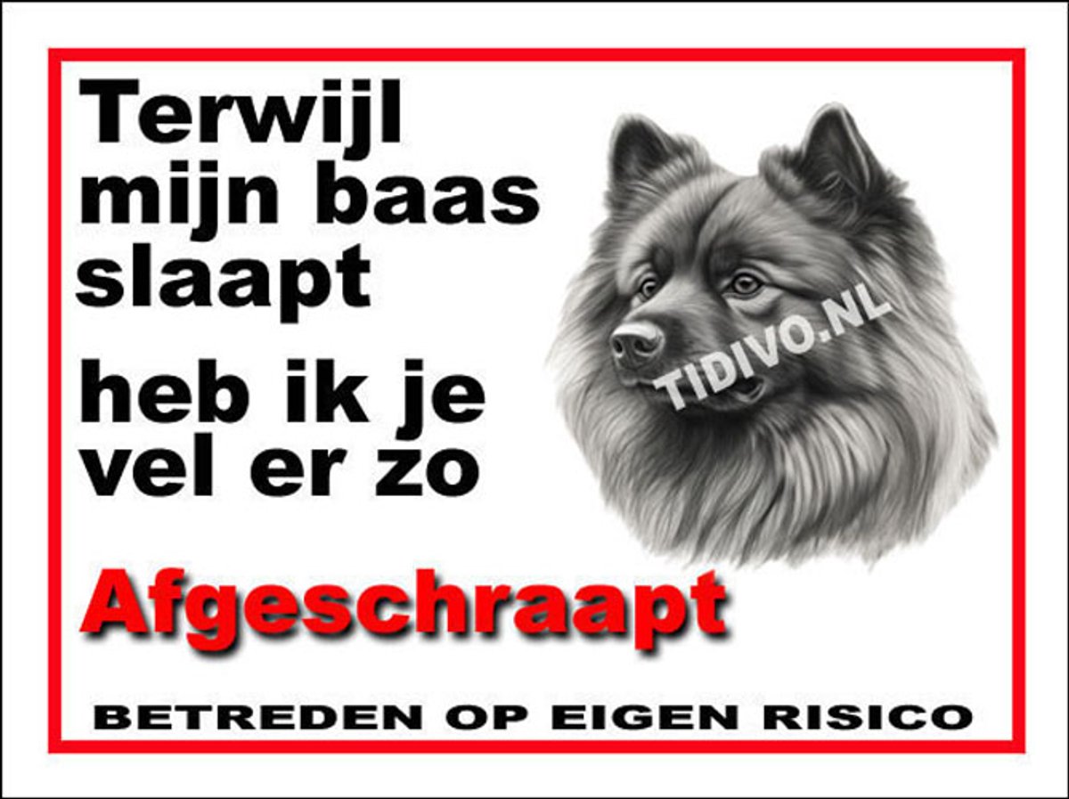 Keeshond 15