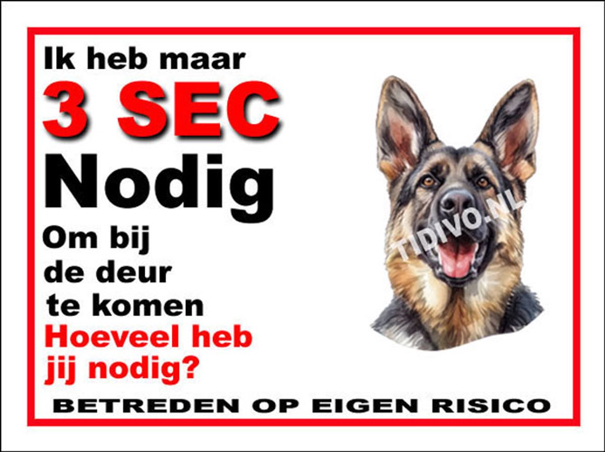 King Shepherd 6