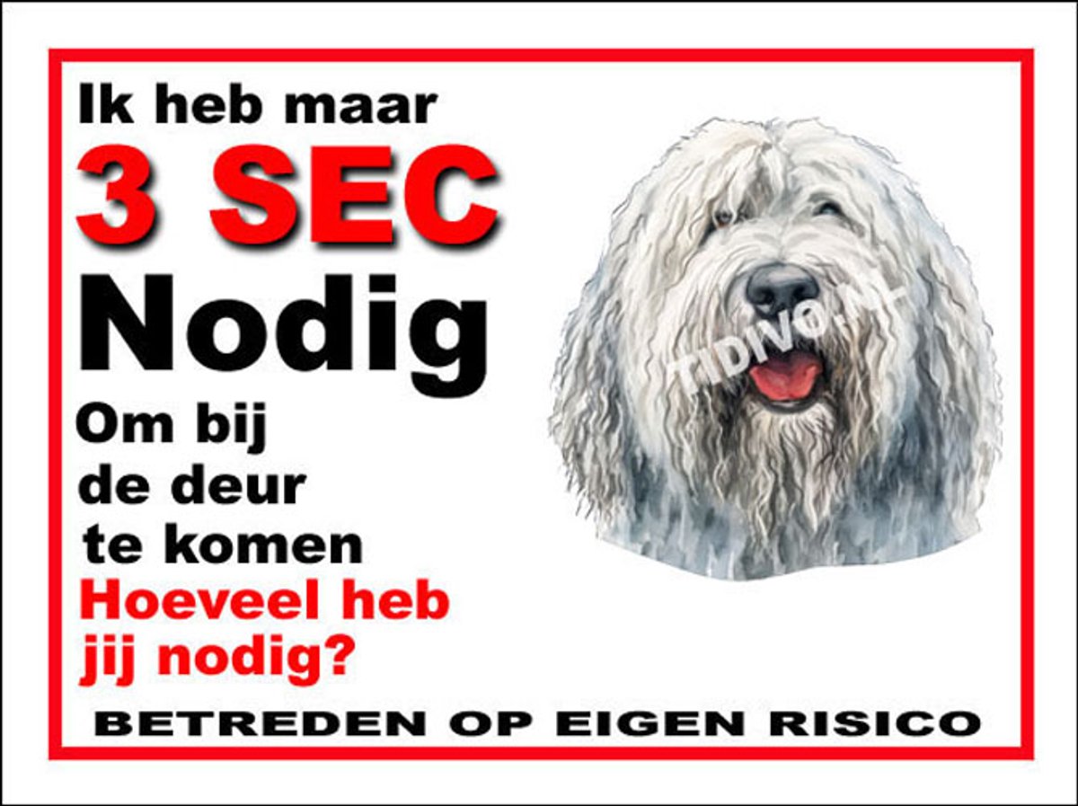 Komondor 6