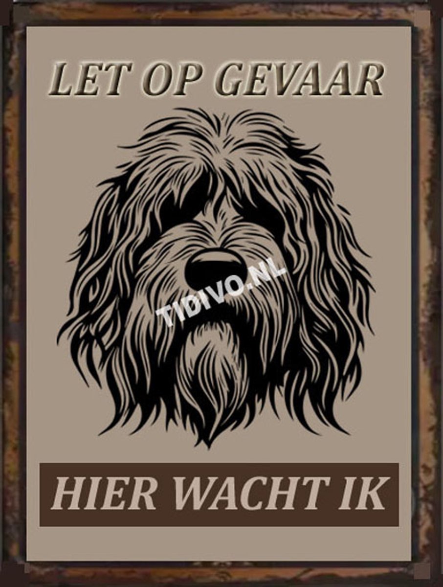 Komondor 18