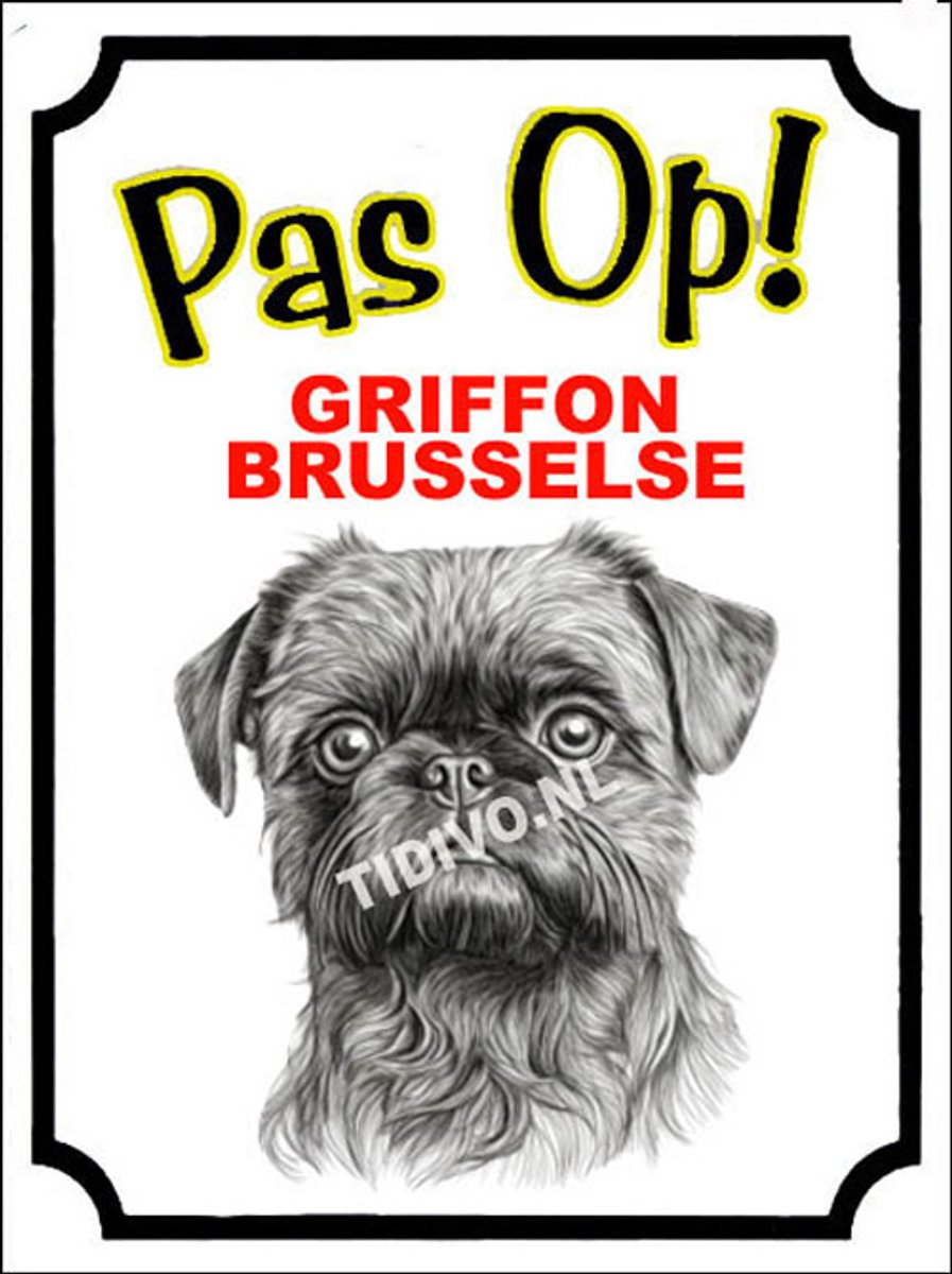 Griffon Brusselse 16