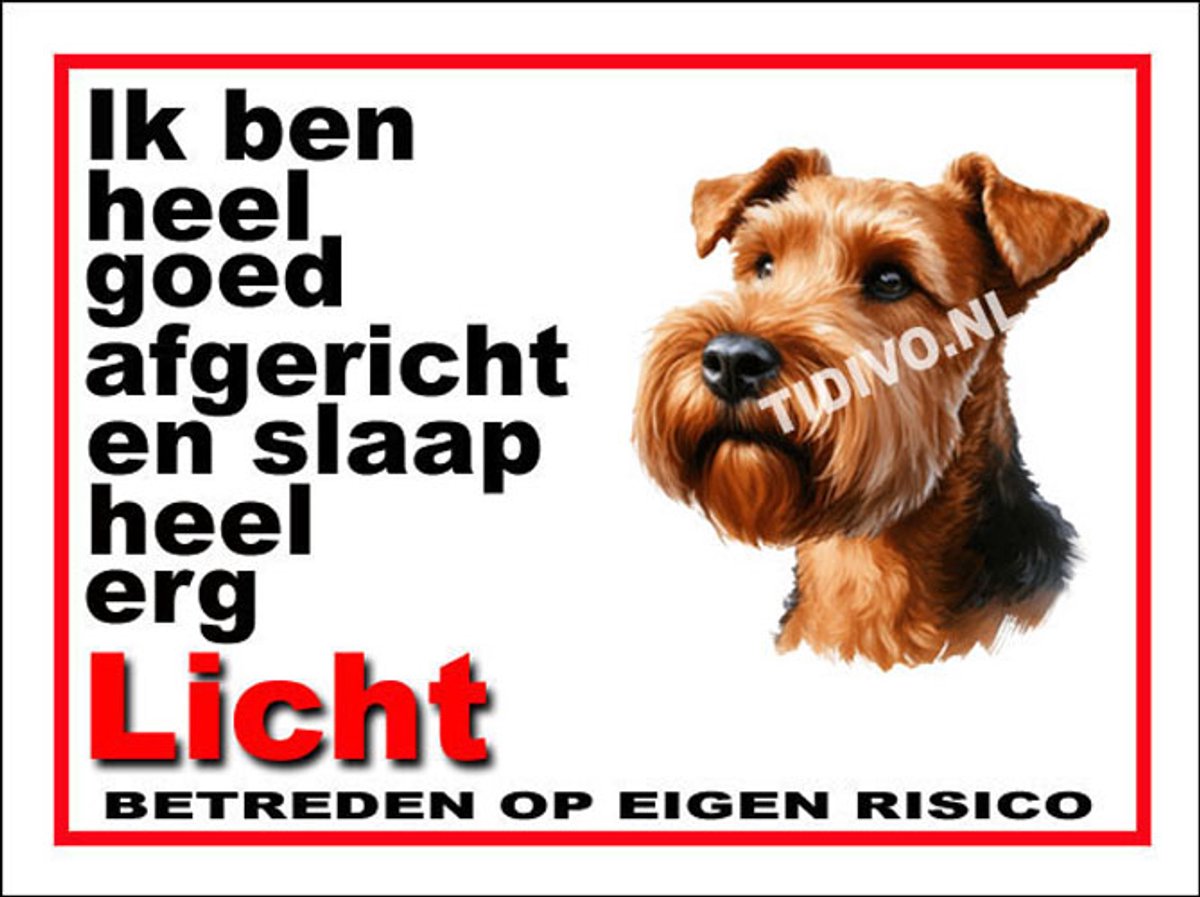 Ierse Terrier 4
