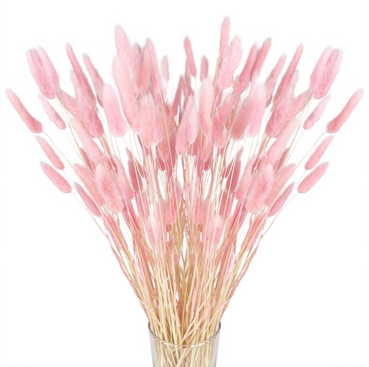 Ibenzoa® Set van 120 Stuks Gedroogd Pampasgras Klein voor Decoratie in Huis, Bruiloft en Tafel