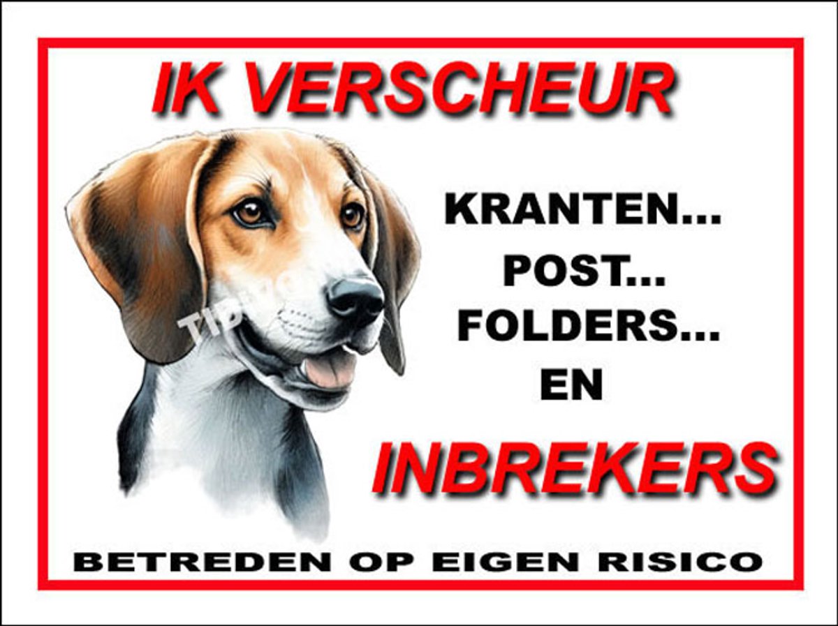Fox Terrier 8