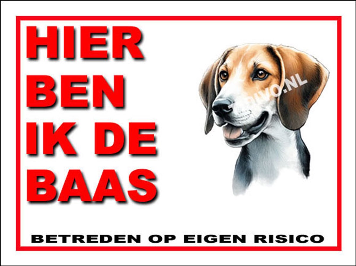 Fox Terrier 2