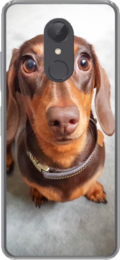 Coque de téléphone compatible avec Xiaomi Redmi 5 - Gros plan sur la tête d'un teckel - Coque en Siliconen