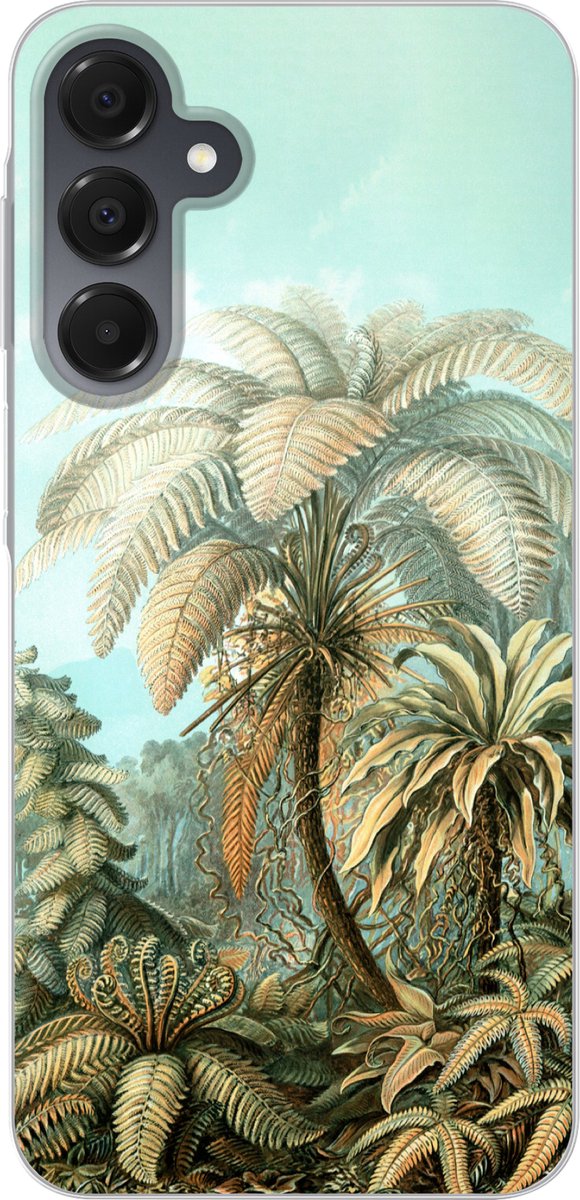 Telefoonhoesje Geschikt voor Samsung Galaxy A16 hoesje - Filicinae - Haeckel - Oude meesters - Siliconen Telefoonhoesje Telefoonhoesje