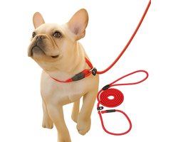 Sliplijn Met Stop I Hondenriem I 130 CM I Hondenriem I Nylon Trainingslijn I 130 CM I Rood