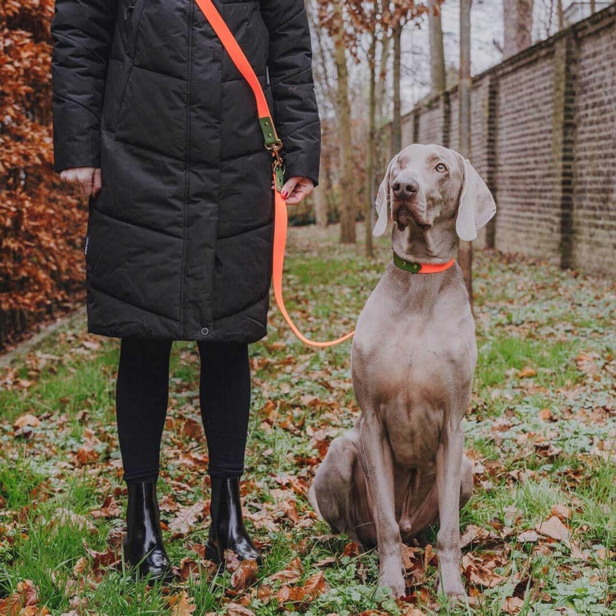 Verstelbare Biothane Hondenriem | 180cm | Geschikt voor Training en Gassi Gaan | Duurzaam en Ondersteunend