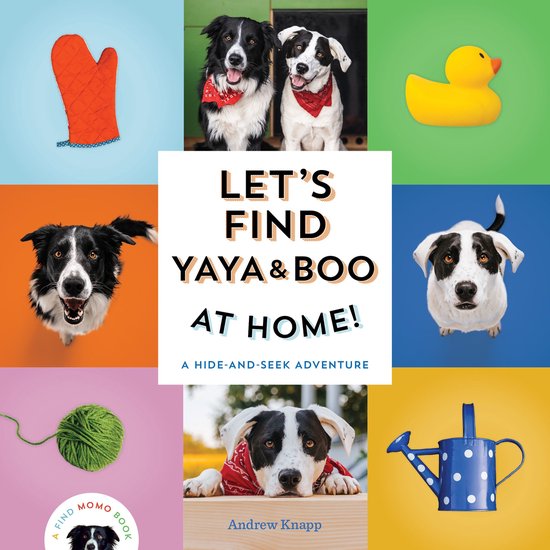 Find Momo 6 - Let's Find Yaya and Boo at Home! - cover