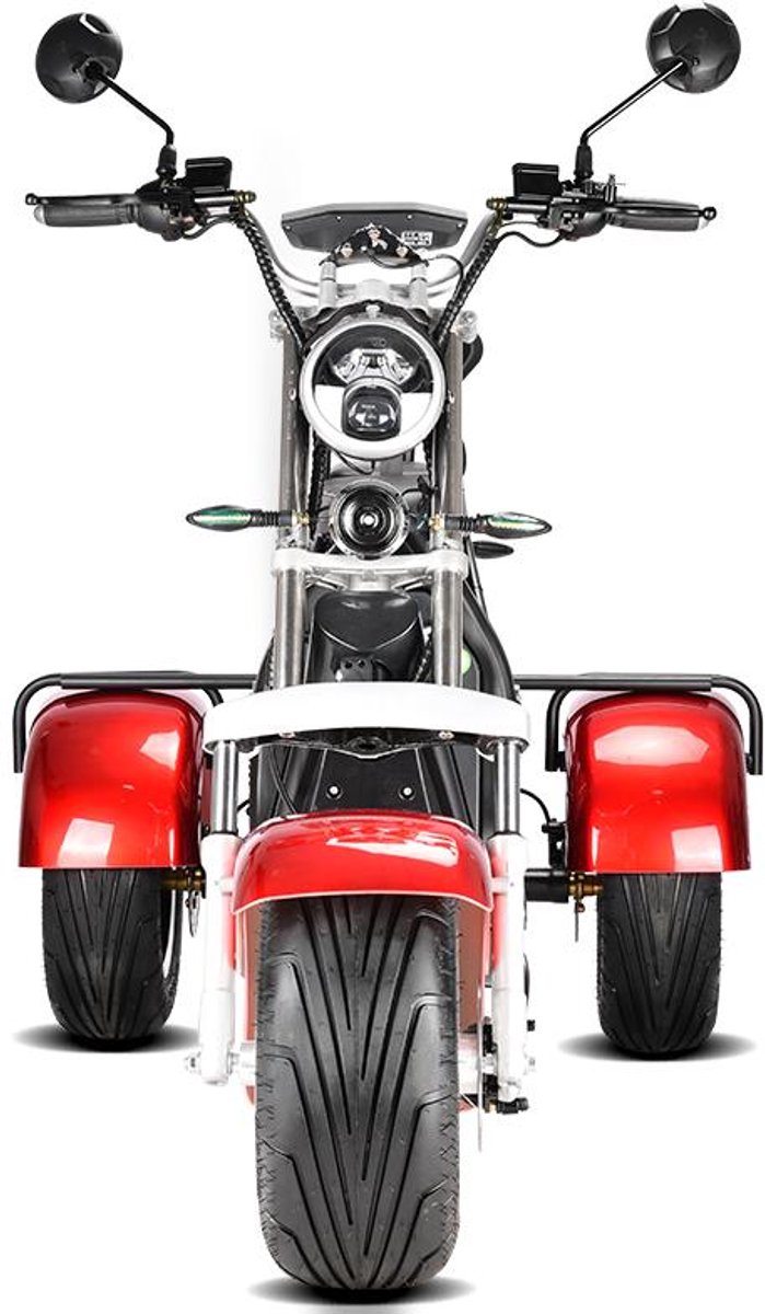 Eco Wielen E-Trike – Elektrische driewielscooter voor 2 personen – 2000 W – Uitneembare accu 20 Ah – Achteruitrijfunctie – foto 8