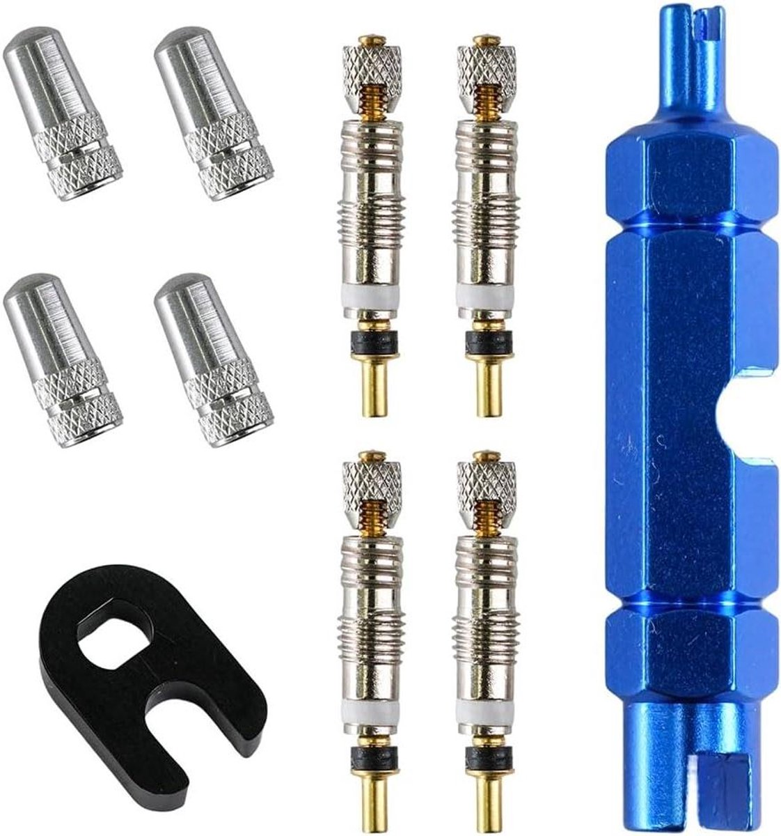 Allecto Plus - Gereedschapsset voor Presta- en Schrader-ventielen - Ventieladapter voor MTB en racefietsen - 10 stuks