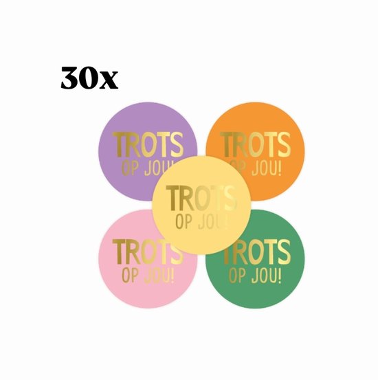 30x Sticker TROTS OP JOU - school - examen - kanjer - topper - juf - meester - leerkracht - kanjer - vakantie - avond4daagse