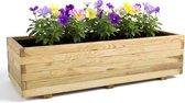 Plantenbak voor buiten met Worteldoek - Geïmpregneerd EU Grenenhout - Kweekbak - Moestuinbak - 120 x 40 cm