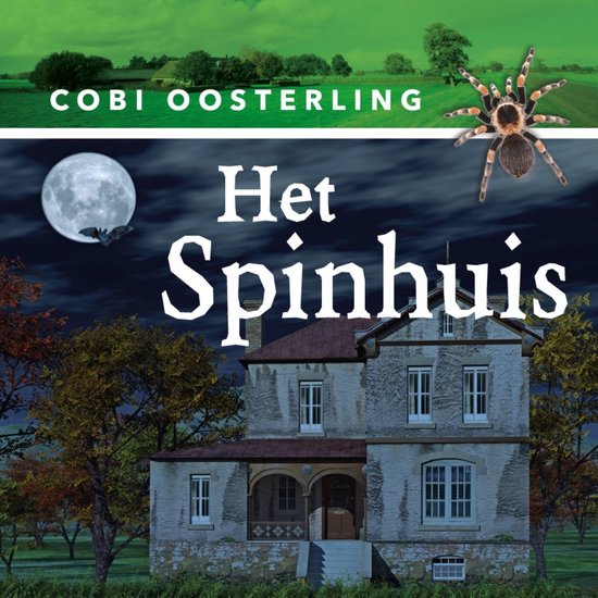 Het spinhuis - cover
