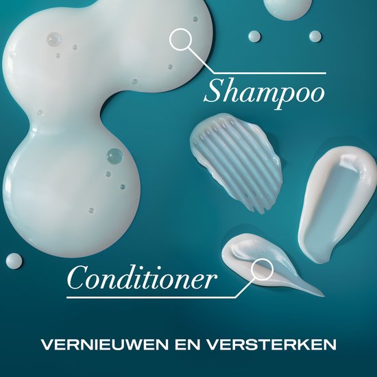 OGX Argan Oil of Morocco Shampoo, Arganolie, Sulfaatvrij, Herstelt Glans & Sterkte, Voor Droog & Futloos Haar, Lichtgewicht Formule, 6x385 ml