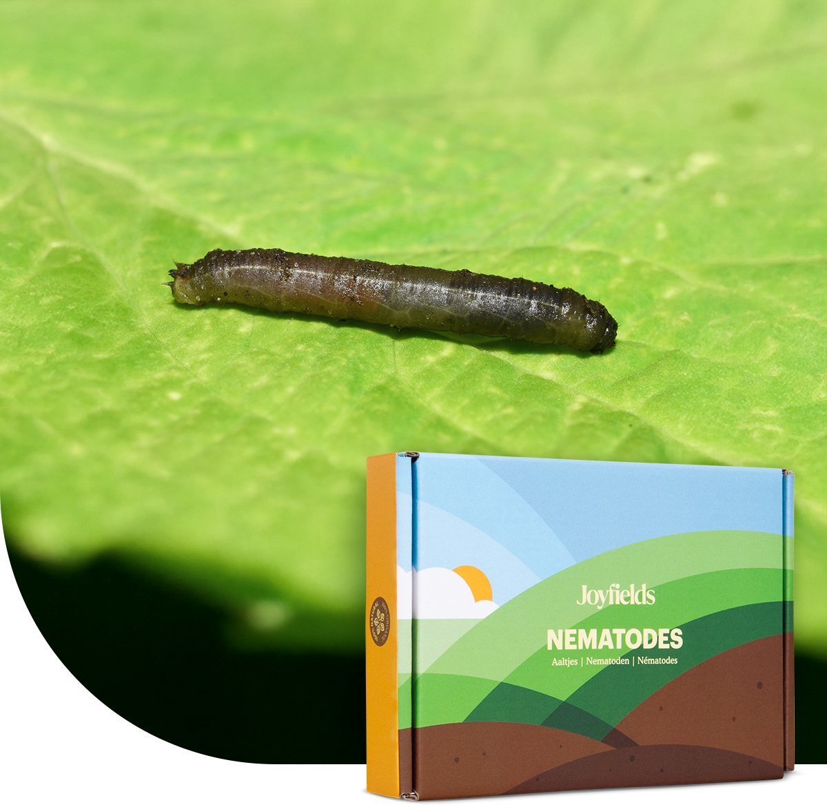 Joyfields Aaltjes tegen emelten 50 m² - Natuurlijke plaagbeheersing - 25 miljoen aaltjes - Emelten bestrijden - Resultaat binnen 1-2 weken - Nematoden