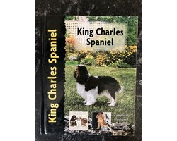 King Charles Spaniel