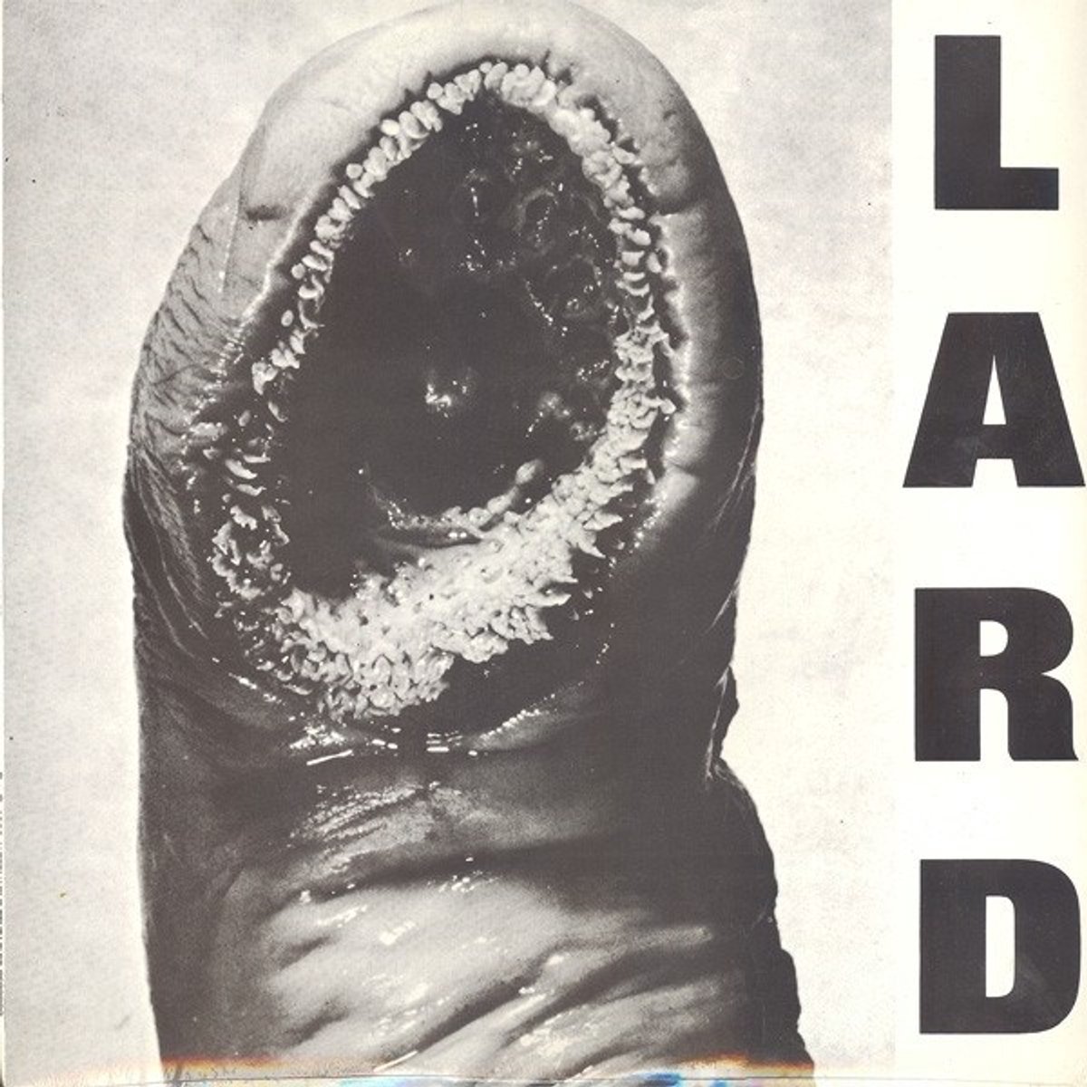 Lard - Power Of Lard (LP) (Coloured Vinyl)