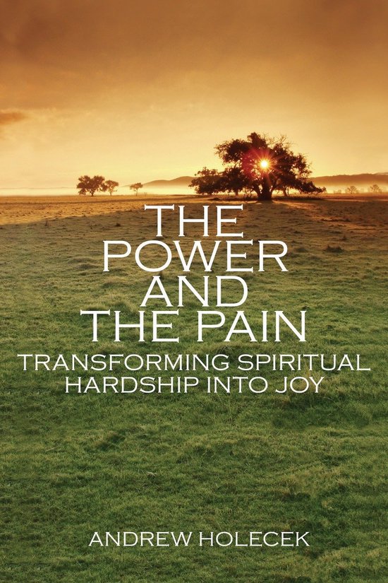 Boekomslag van 'The Power and the Pain' met tekst en een zonsopgang boven een veld.