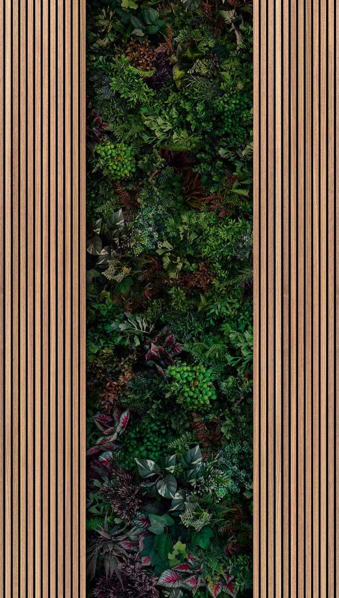 Akoestische paneel-behang met planten, The Wall behang houtpanelen, bijzondere behang in 3D-optiek 398521, plantenwand-behang 39852-1, BRICOFLOR.nl