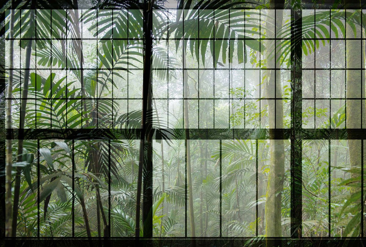 Jungle fotobehang met bladeren DD113737, BRICOFLOR.nl