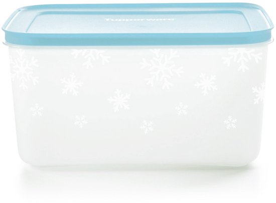 Boîte de congélation Tupperware grande Iglo 2,5 litres