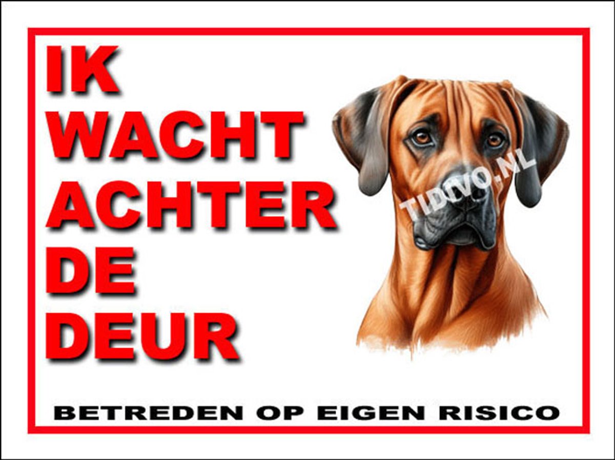 Weimaraner Rhodesian Ridgeback 10