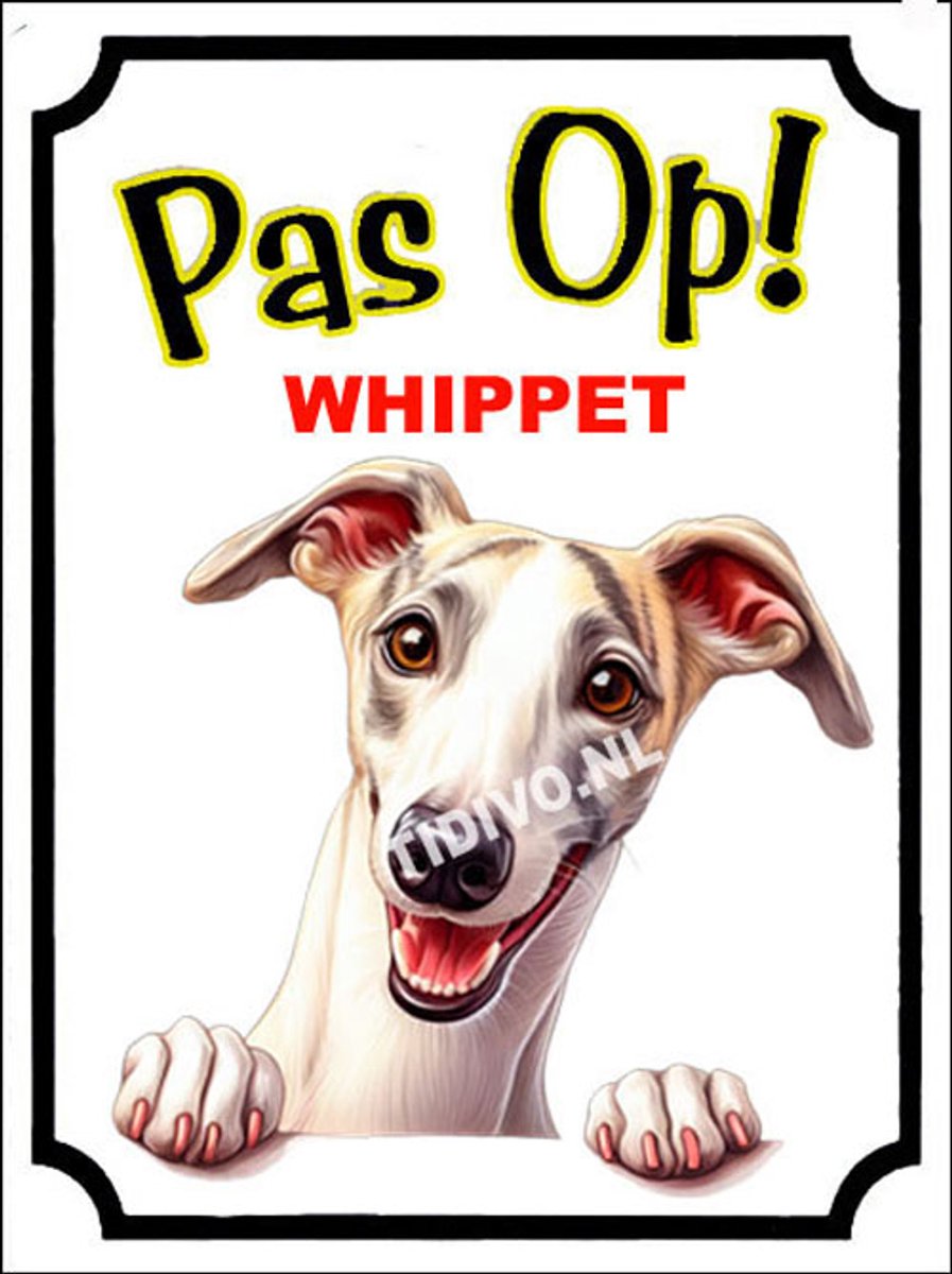 Whippet 16