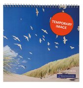Muurkalender-sjabloon Voor 2021-jaarkalender of -planner Met Een Schattige Stier Geïsoleerd Op